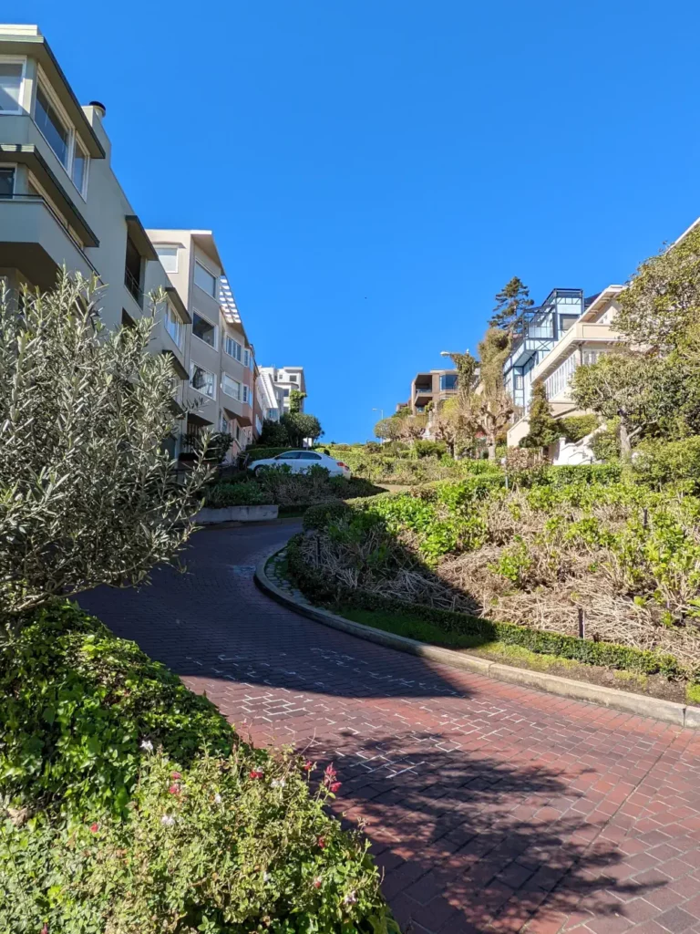 Vue dégagée en contre plongée sur la totalité de la portion sinueuse de Lombard Street. On y dinstingue une voiture garée ainsi qu’un ciel bleu sans nuage.