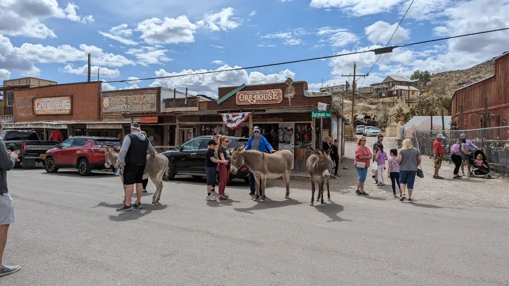 Des touristes caressent des ânes en plein milieu de la Route 66 à Oatman, village fantôme.