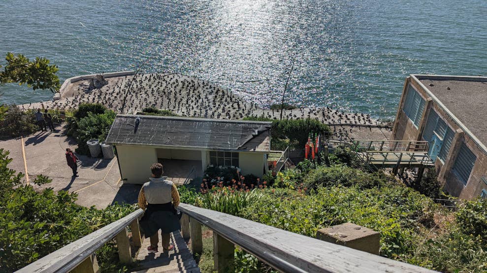 Vue sur le “Penitentiary Security Building” du haut des escaliers, à la sortie du “Recreation Yard”. Une personne descend les escaliers, il y a beaucoup d’oiseaux, de la végétation et les rayons du soleil se reflètent sur les eaux de la baie de San Francisco.