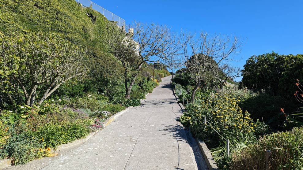 Chemin à travers les jardins de la prison d’Alcatraz. Il est bordé d’arbustes et de plantes diverses.