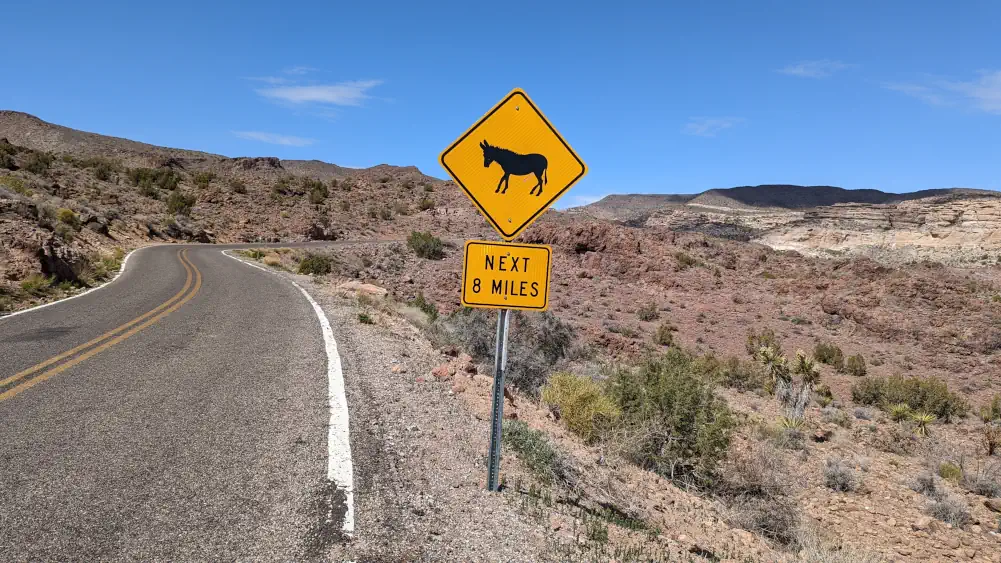 Panneau jaune et noir sur le bord de la Route 66, indiquant la présence d’âne sur 13 kilomètres.