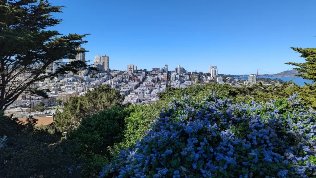 Vue sur la ville de San Francisco et le détroit du Golden Gate depuis le Pioneer Park. Quand partir en vacances rime avec soleil.