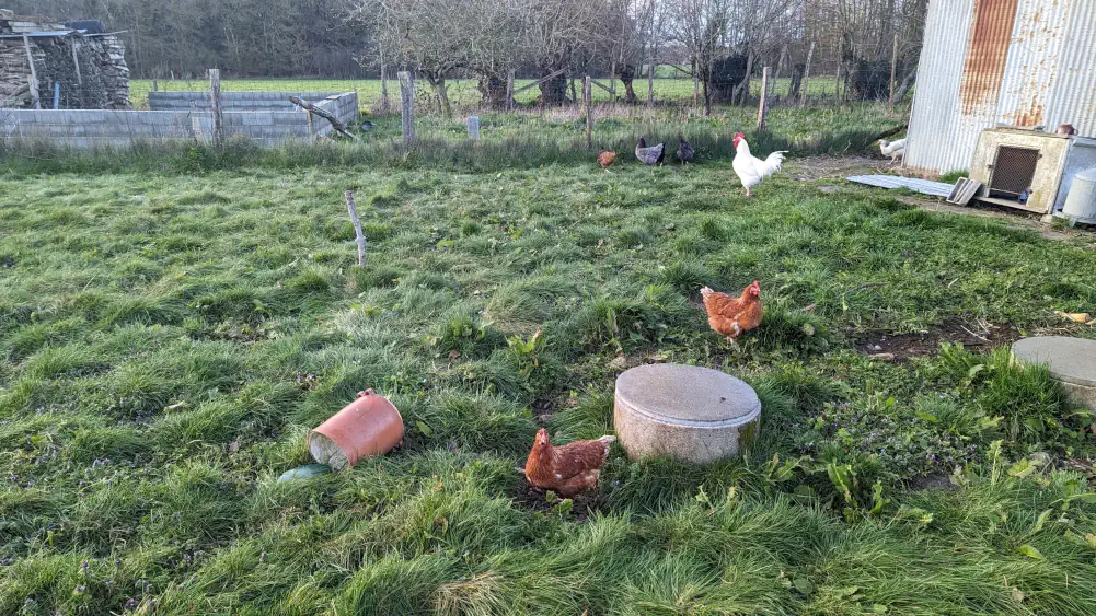 week end romantique dans une ferme proche de paris avec poules et coq