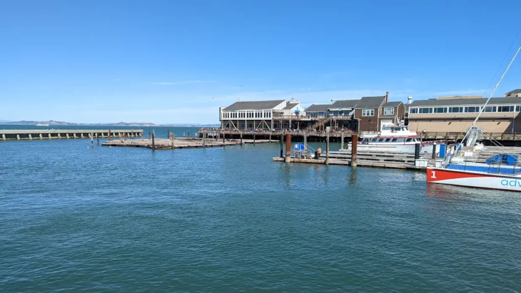 zone pour observer les otaries de san francisco au Pier 39